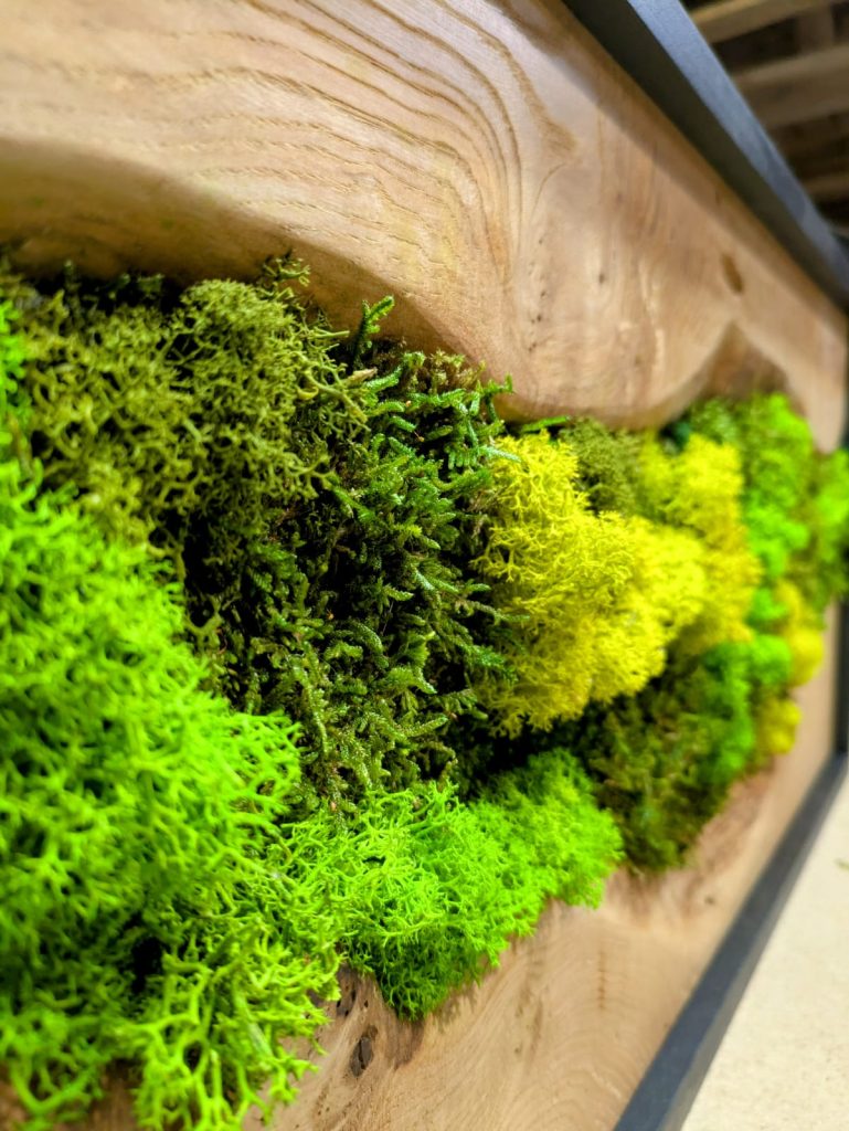 Latido de la tierra 05