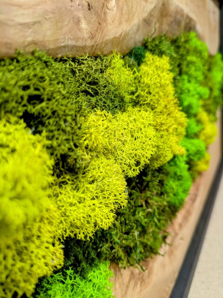 Latido de la tierra 08