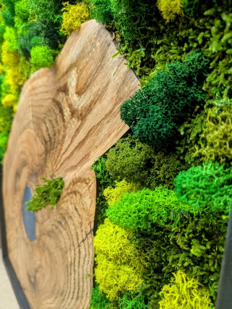 donde duerme el rio 03