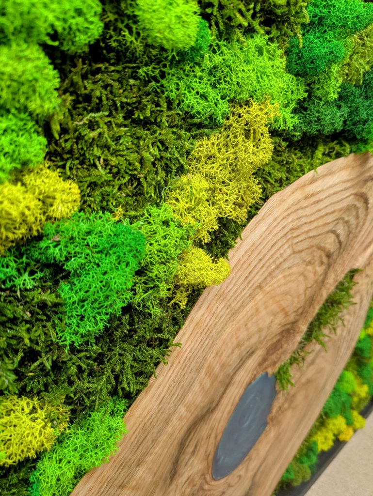 donde duerme el rio 05